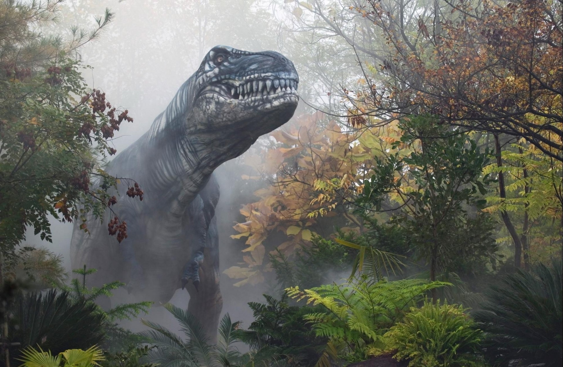 autunno nebbia foresta dinosauro