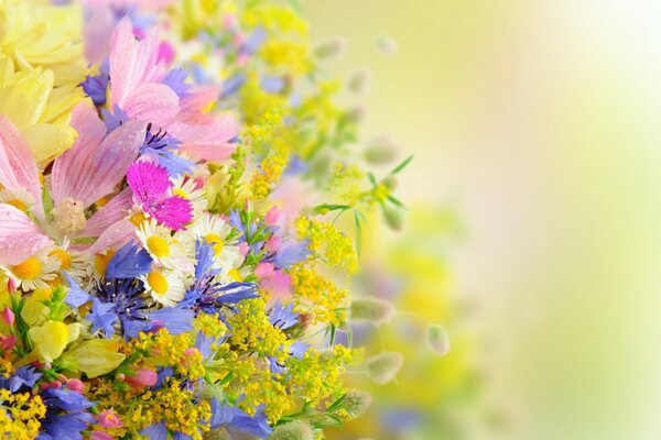 Ein Sommerstrauß aus schönen Wildblumen