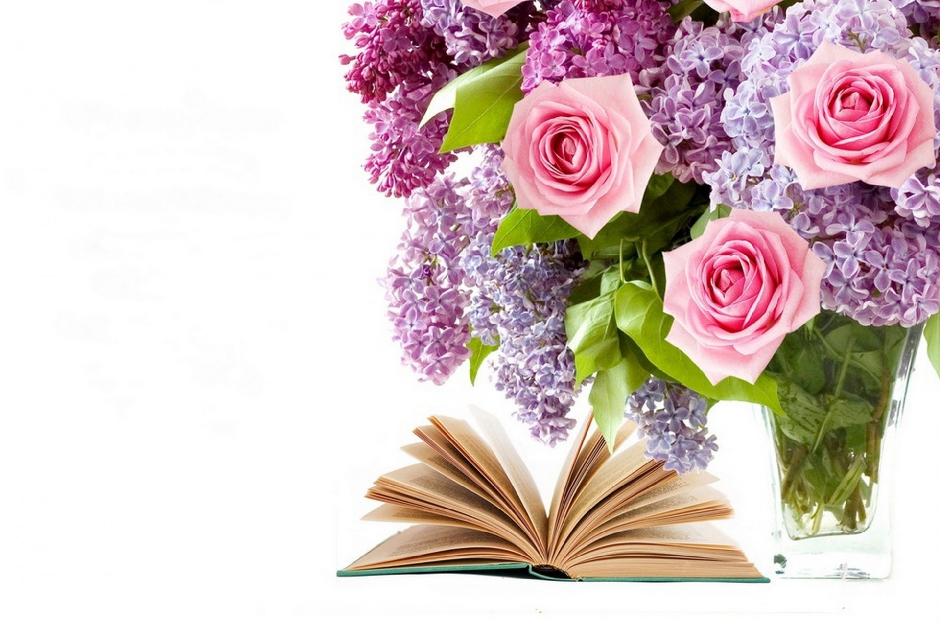 rose bouquet fiori libro lilla