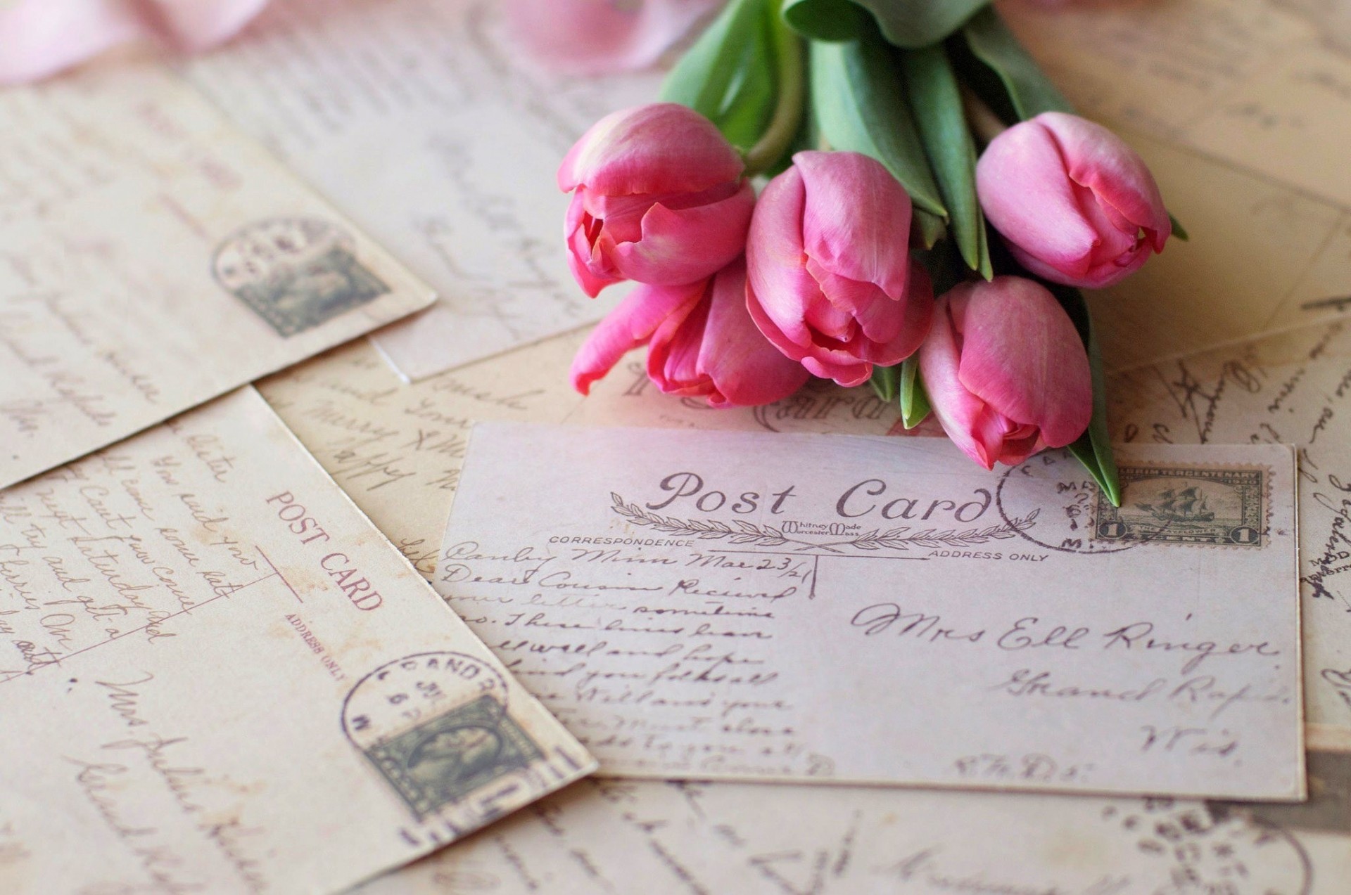 francobolli cartoline fiori rosa vintage tulipani lettere