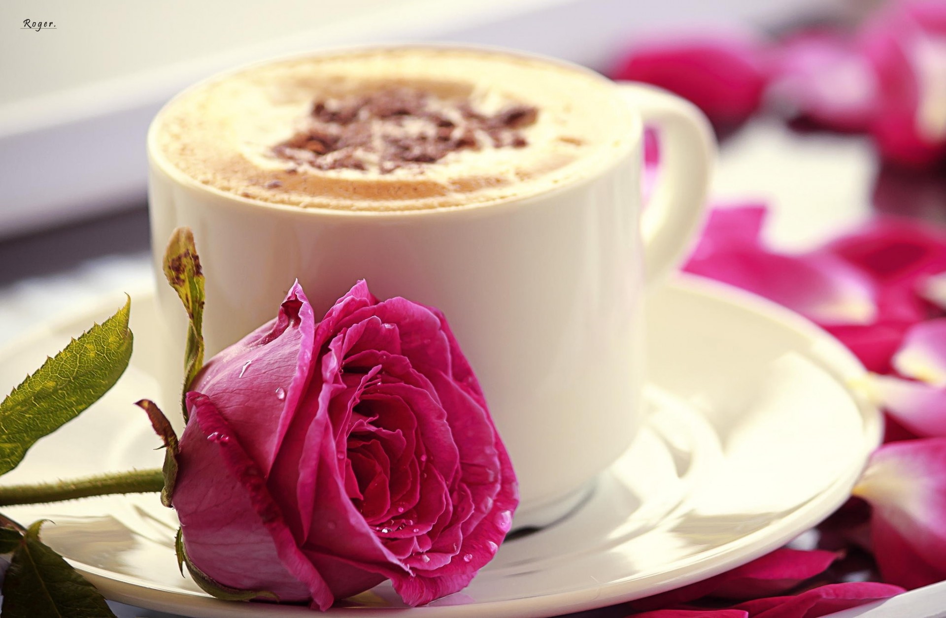 rose blume becher bett rosa tasse