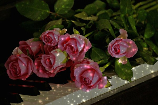 Rosebuds lie on the piano