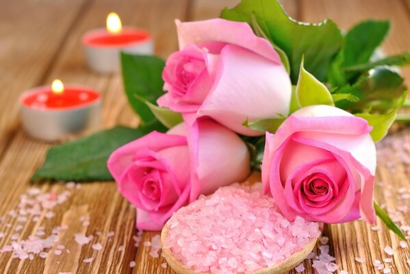 Rosas juntos velas de sal rosa para el amor alguien cocina romántico