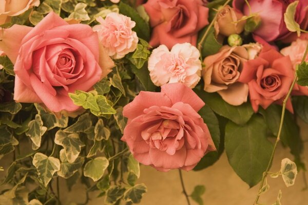 Roses poussiéreuses et oeillets avec des feuilles vertes