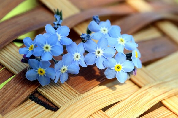 Blue flowers on the background of a basket