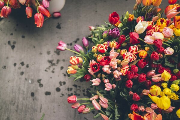 Different tulips in a spring bouquet