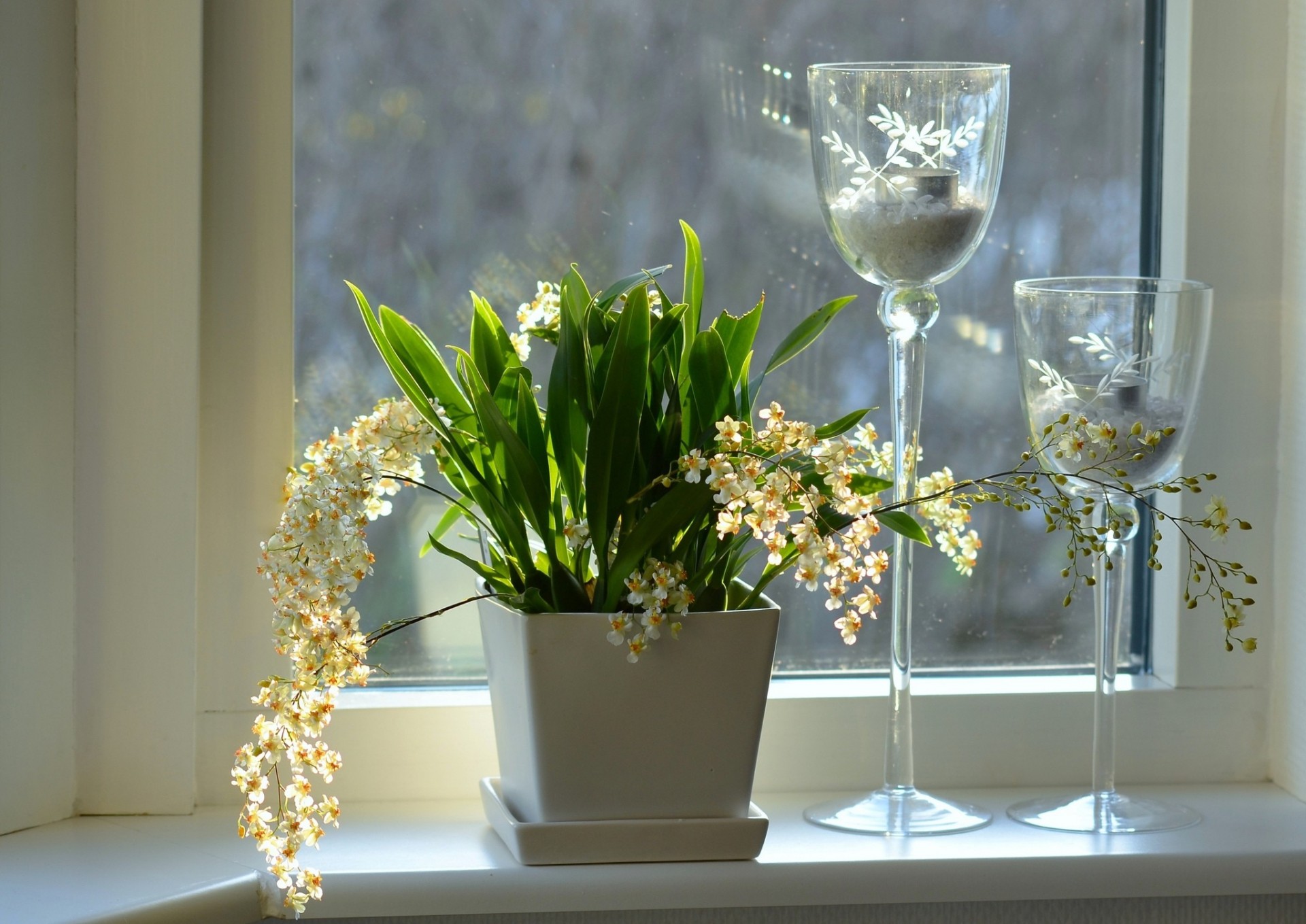 ventana macetas flores candelabros orquídeas