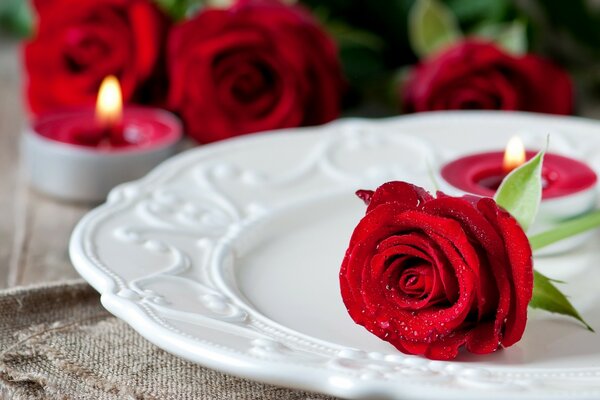 Rote Rose auf einem weißen Teller. Im Hintergrund eine brennende Kerze