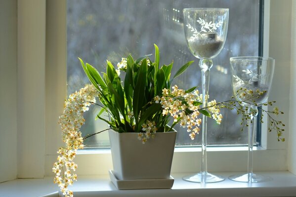 Portacandele sulla finestra accanto al vaso di orchidee