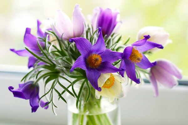 Lila Blumen in einer Vase auf der Fensterbank