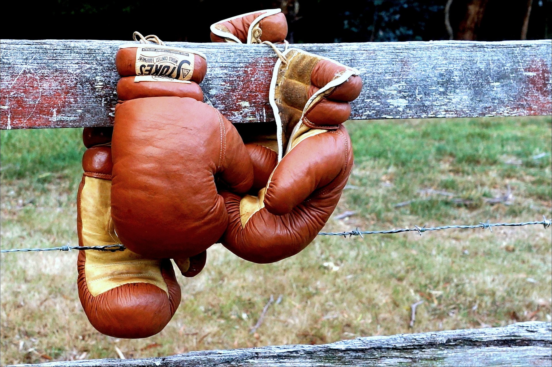 boxing boxing gloves fence sport