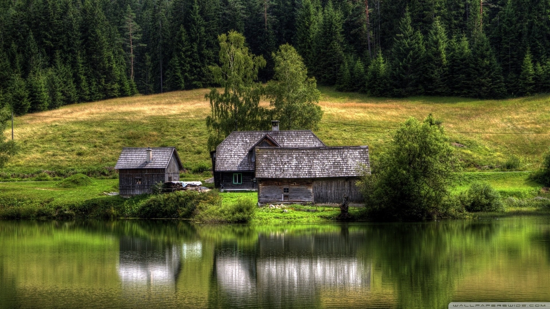 hdr lago reflexión palmeras bosque casa bosque de coníferas