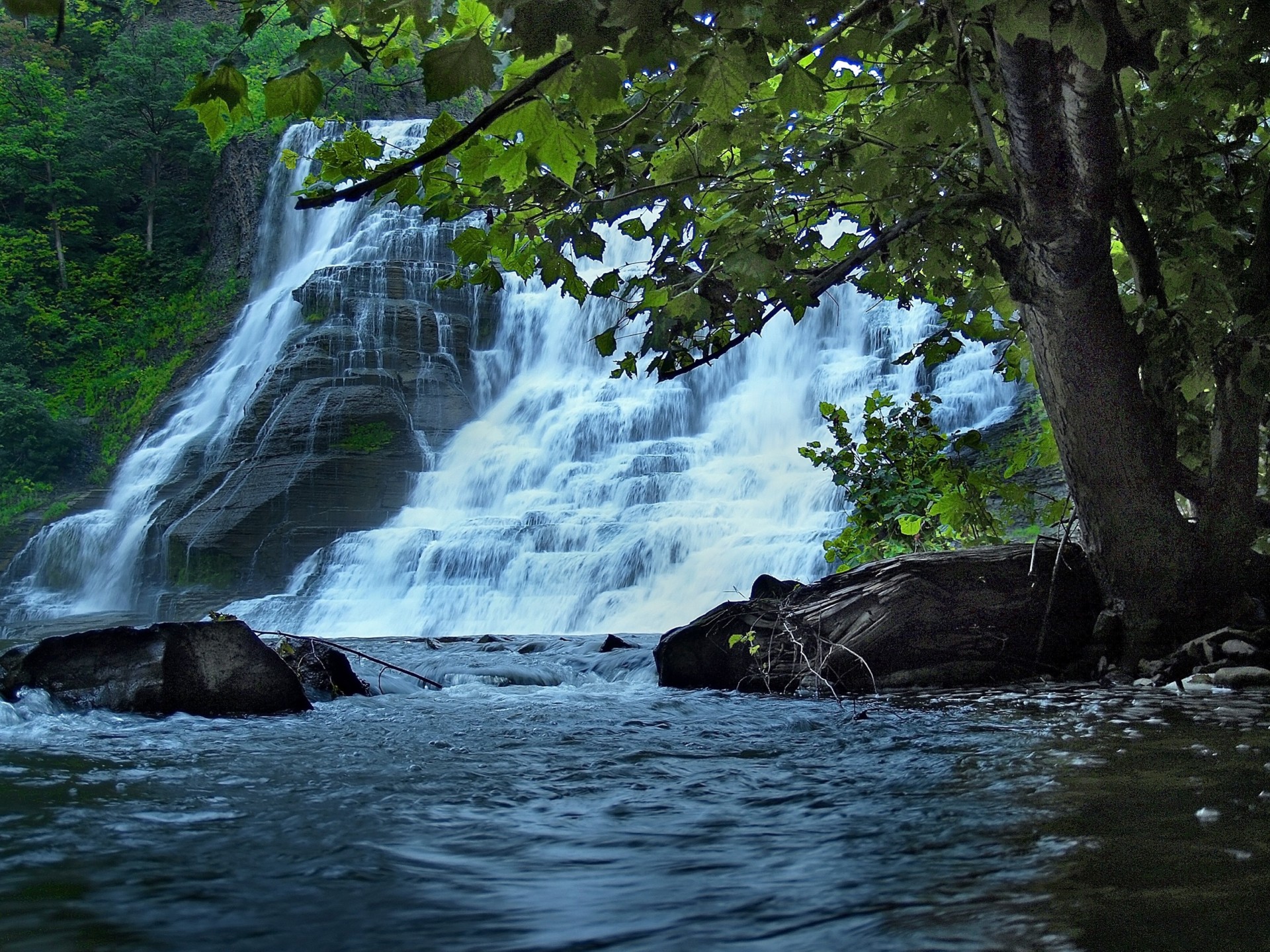 cascada cascada naturaleza