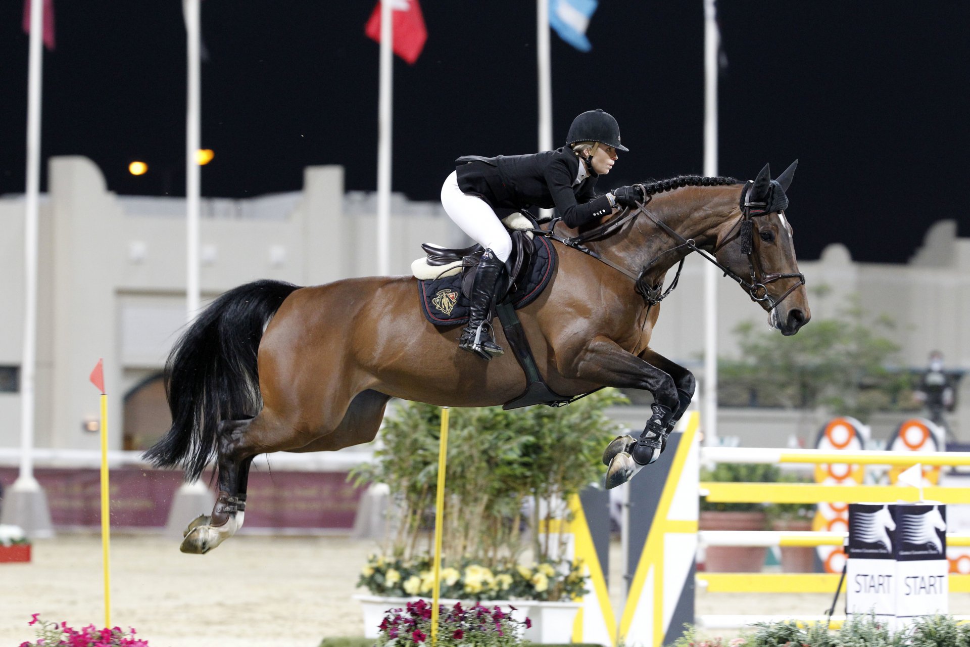 edvina vershki-alexander show jumping equestrian horse horse rider sport jumping