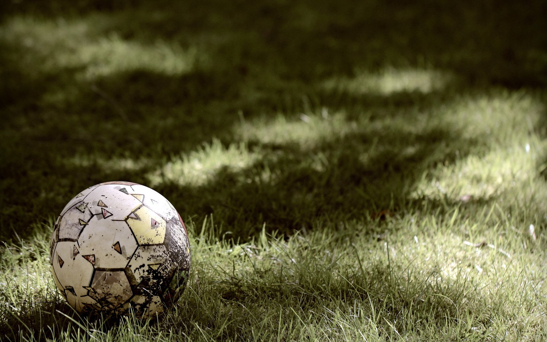 pelota hierba deportes