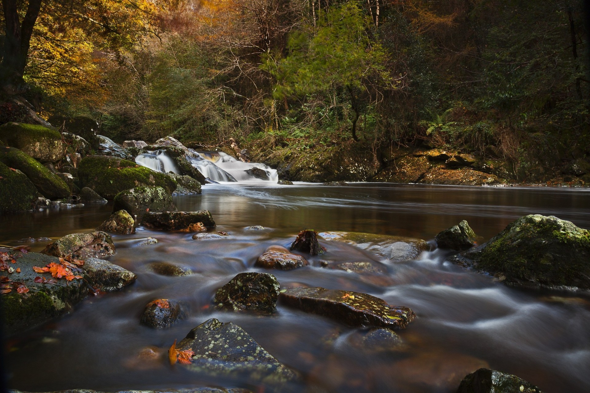 tones devon river england forest autumn