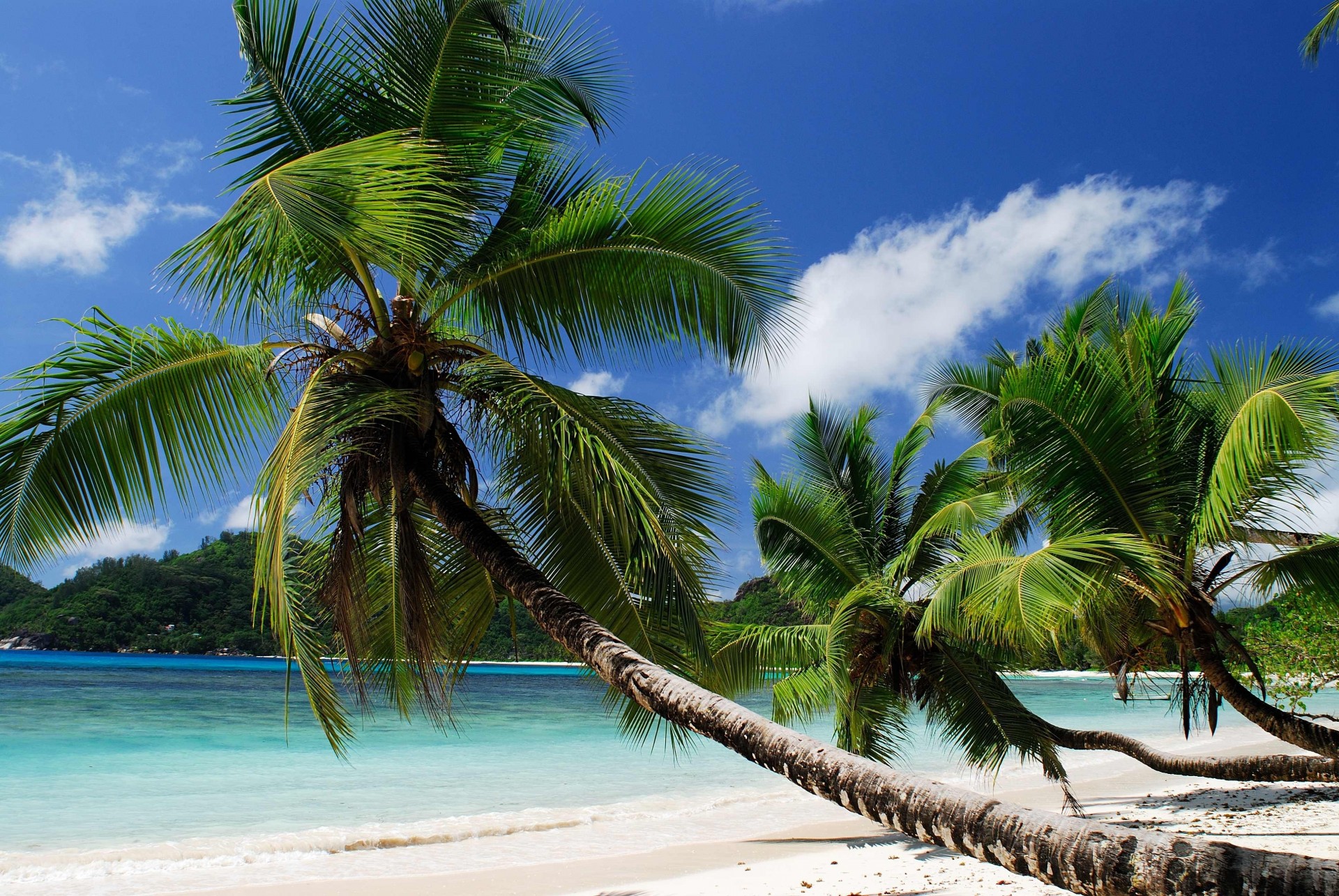 tropisch strand küste meer australien ozean im sommer