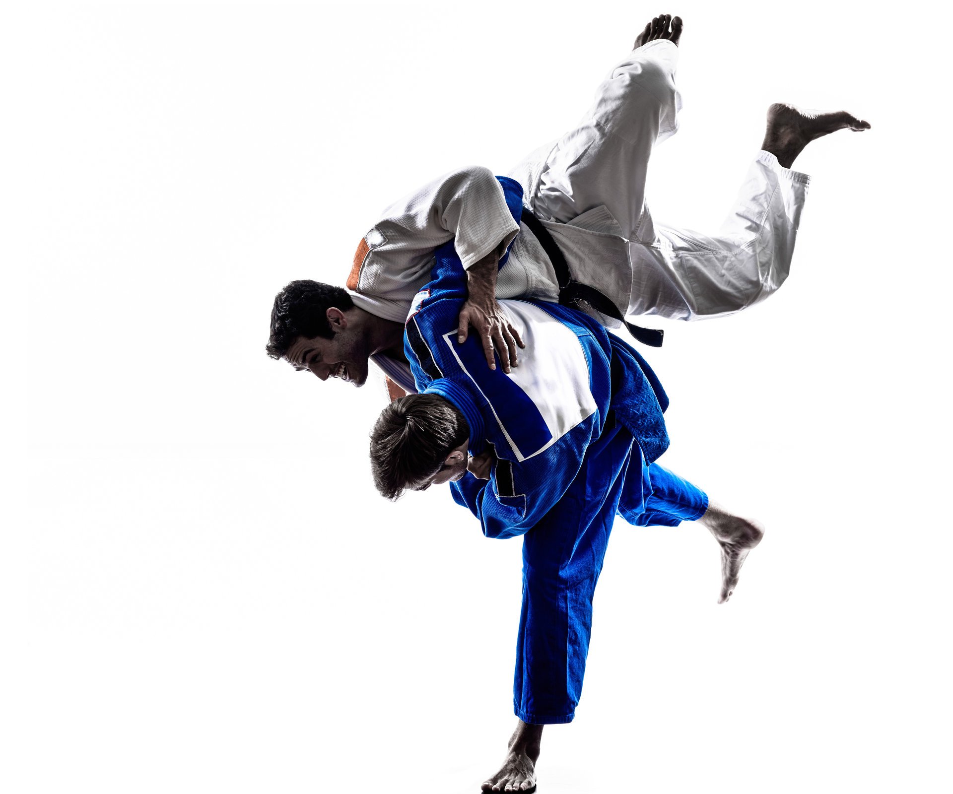 judo lutte formation technique compétence