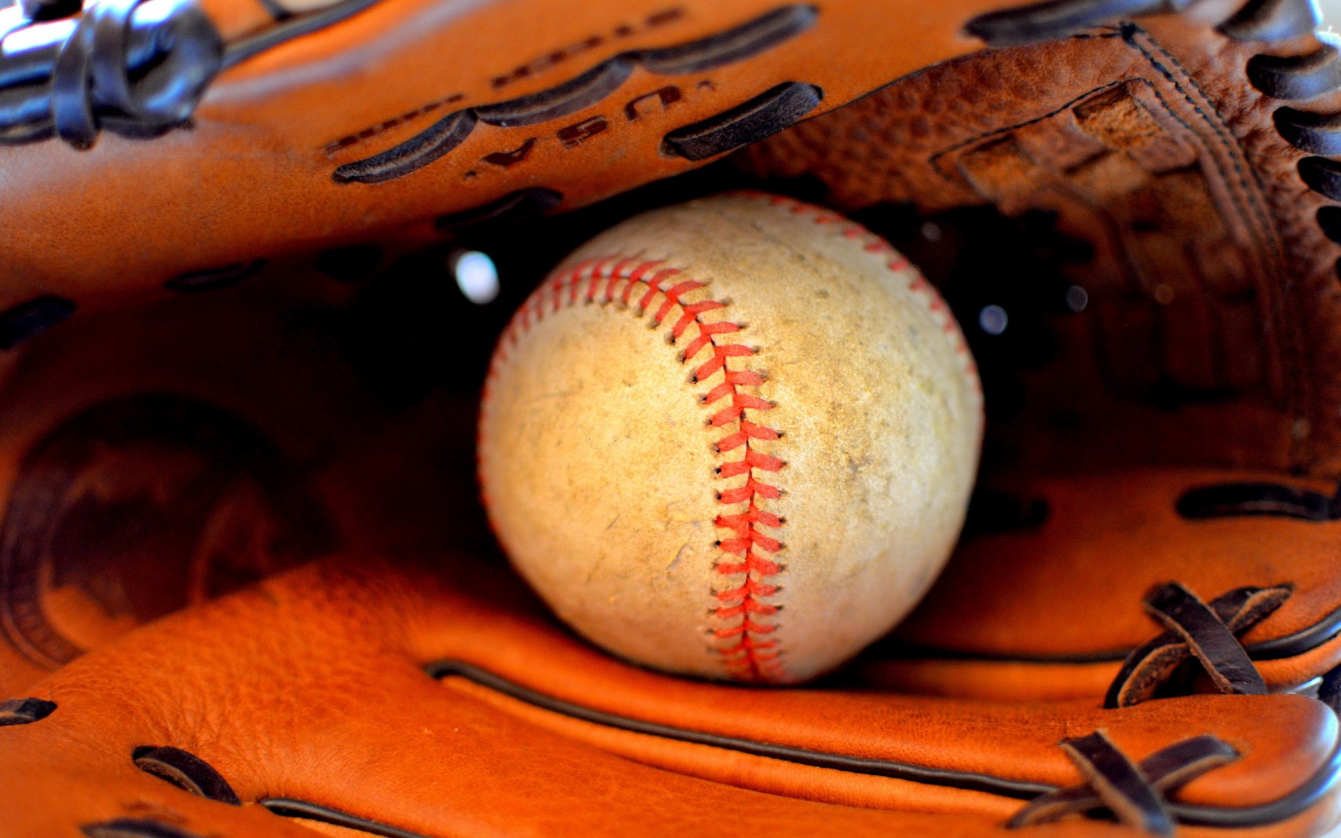 pelota guante deportes