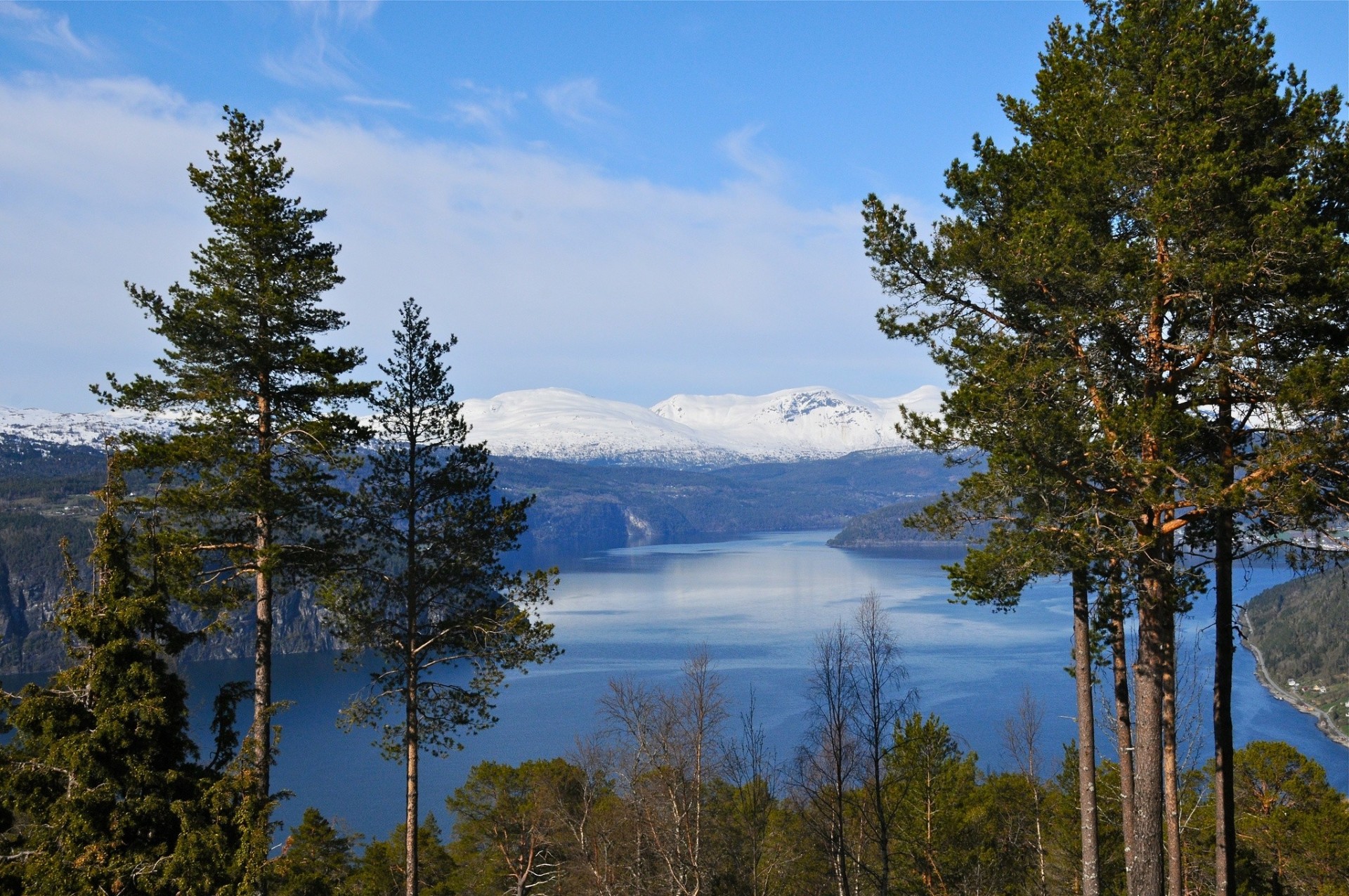 norwegen berge fjord bäume