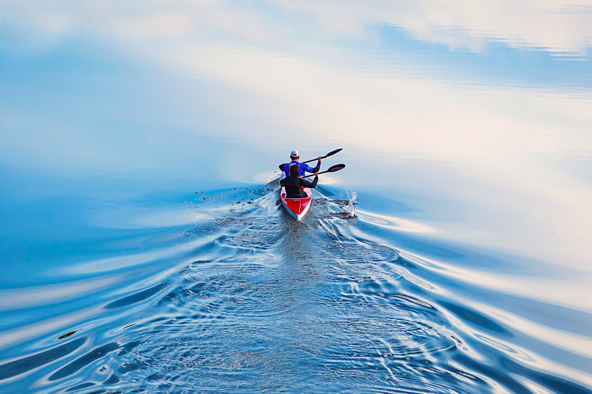 спорт гребля вода