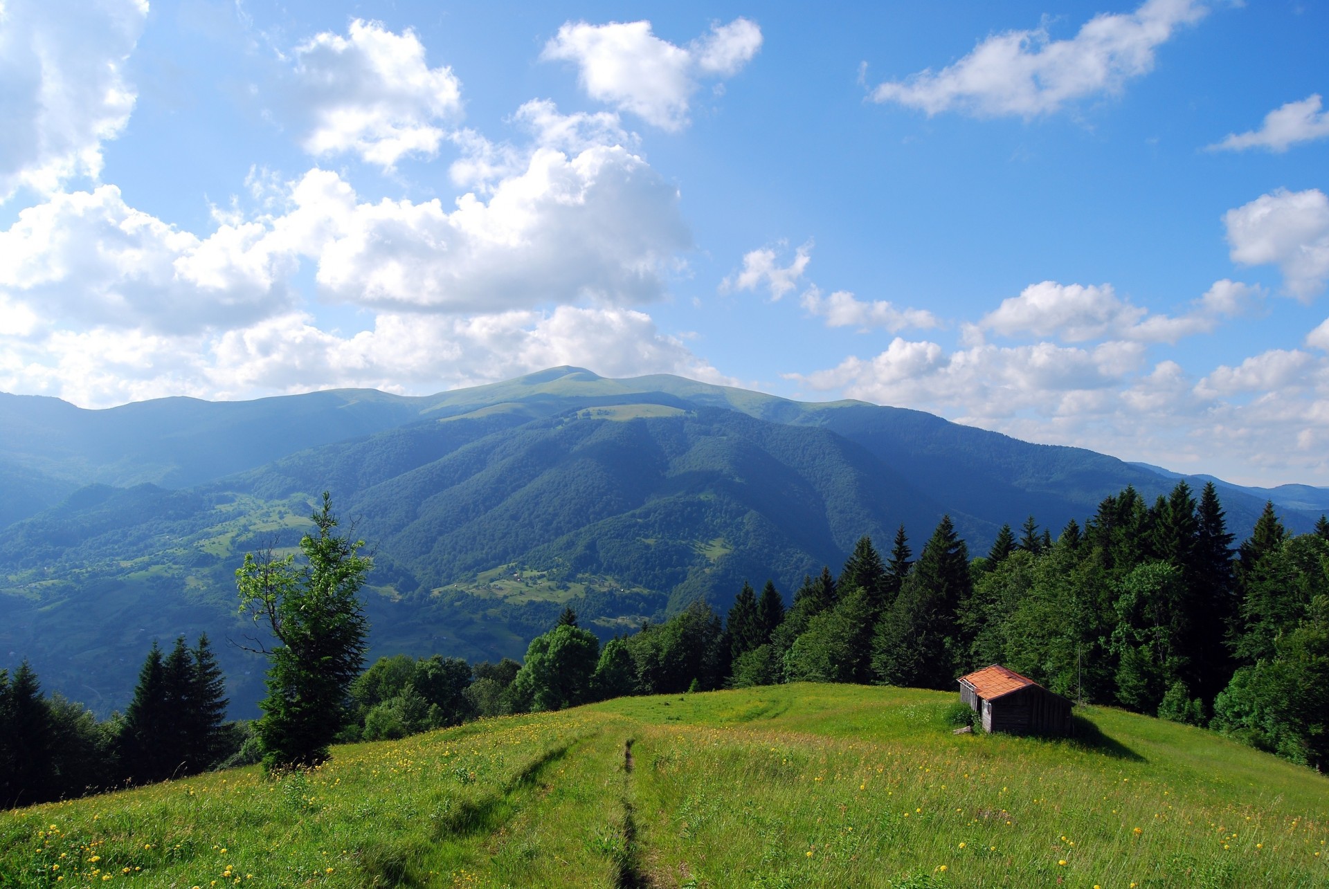 landscape house the field mountain carpathian mountain