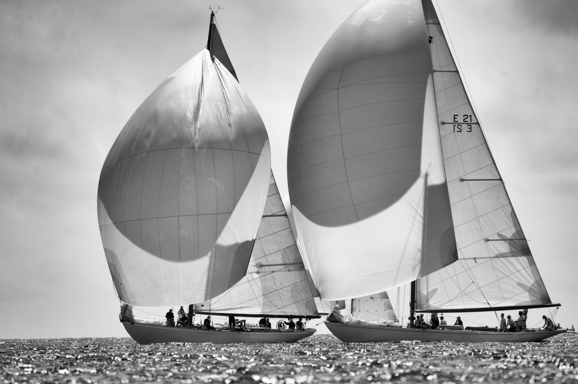 foto blanco y negro yates mar regata velas