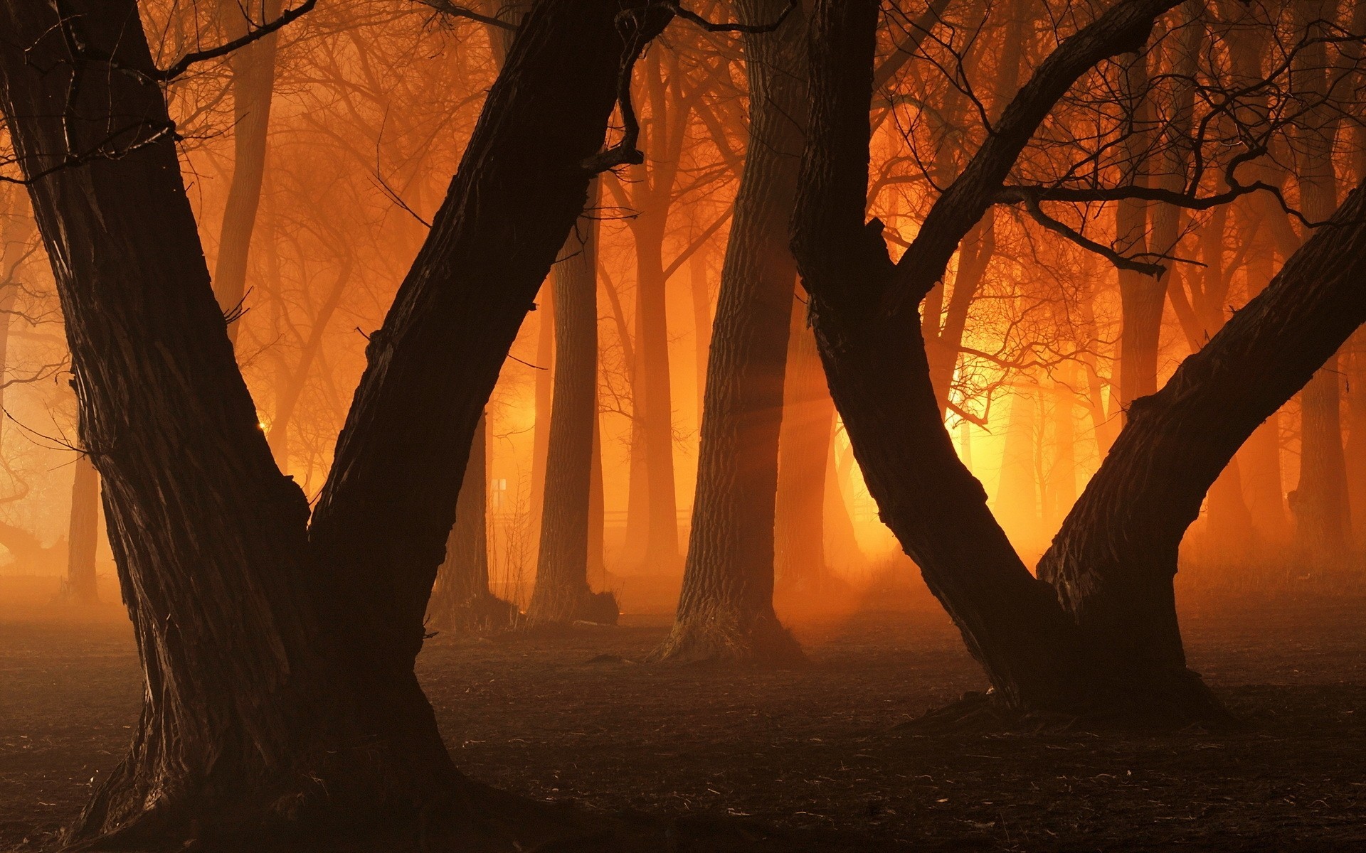 parc nuit ville