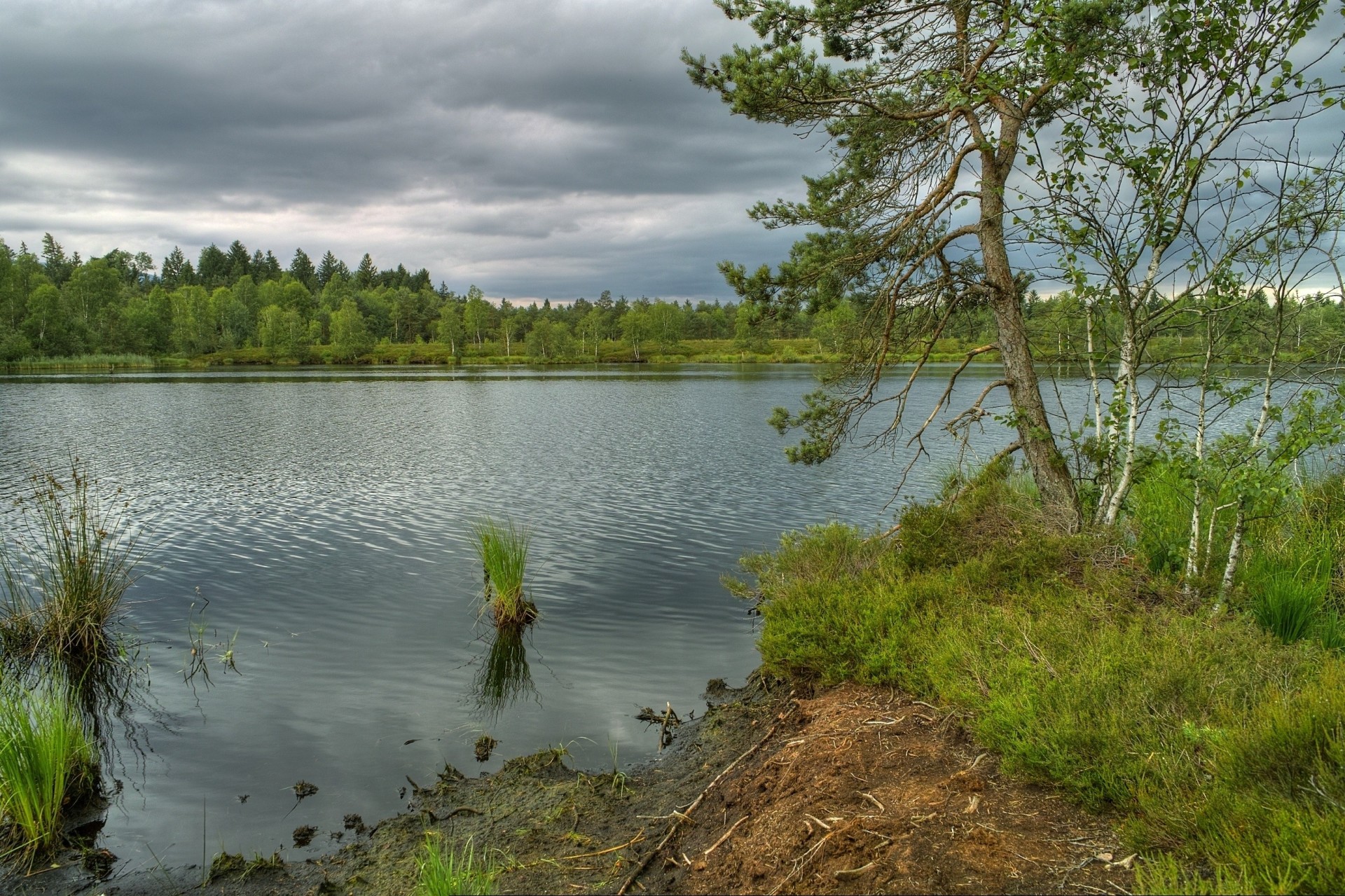 пейзаж река природа деревья бавария