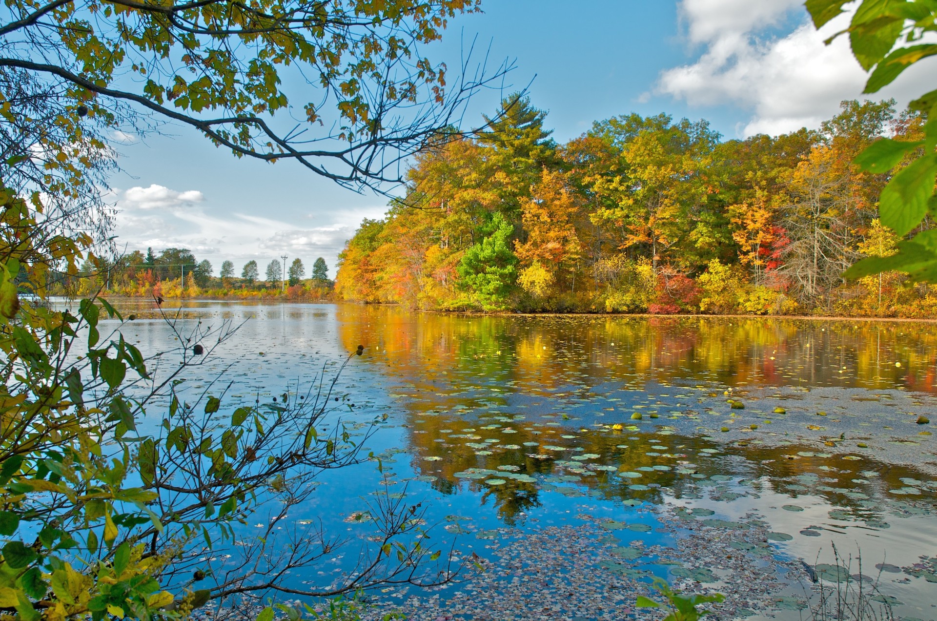 otoño lago árboles paisaje