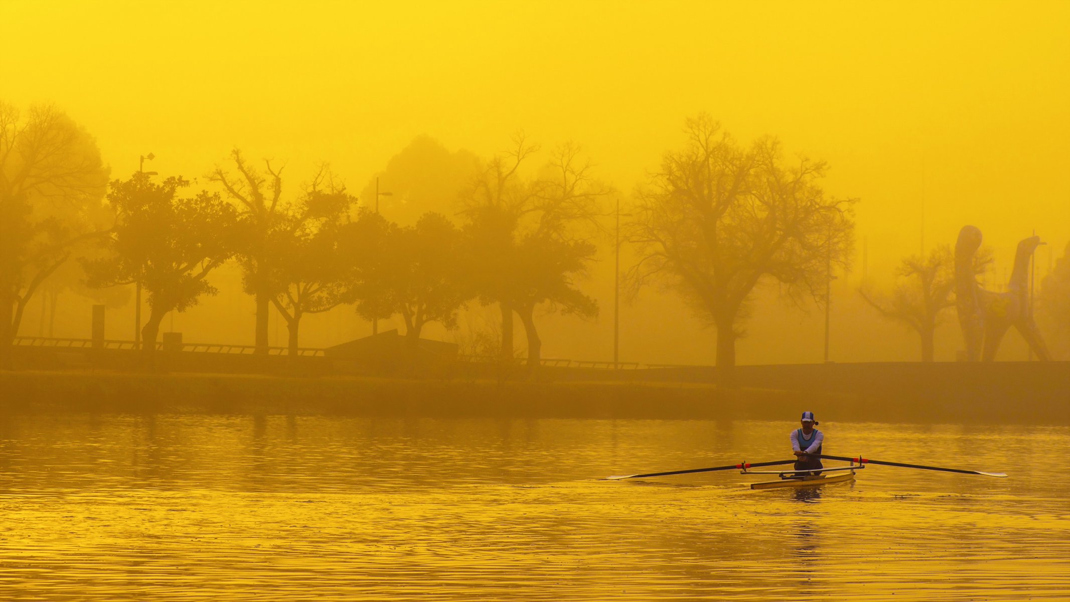 river rowing sport