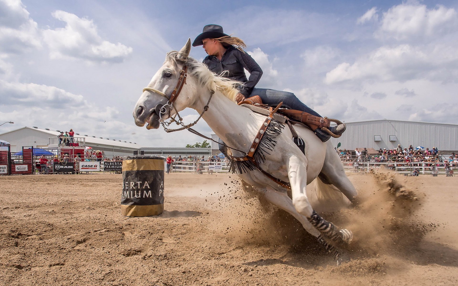 girl horse sport