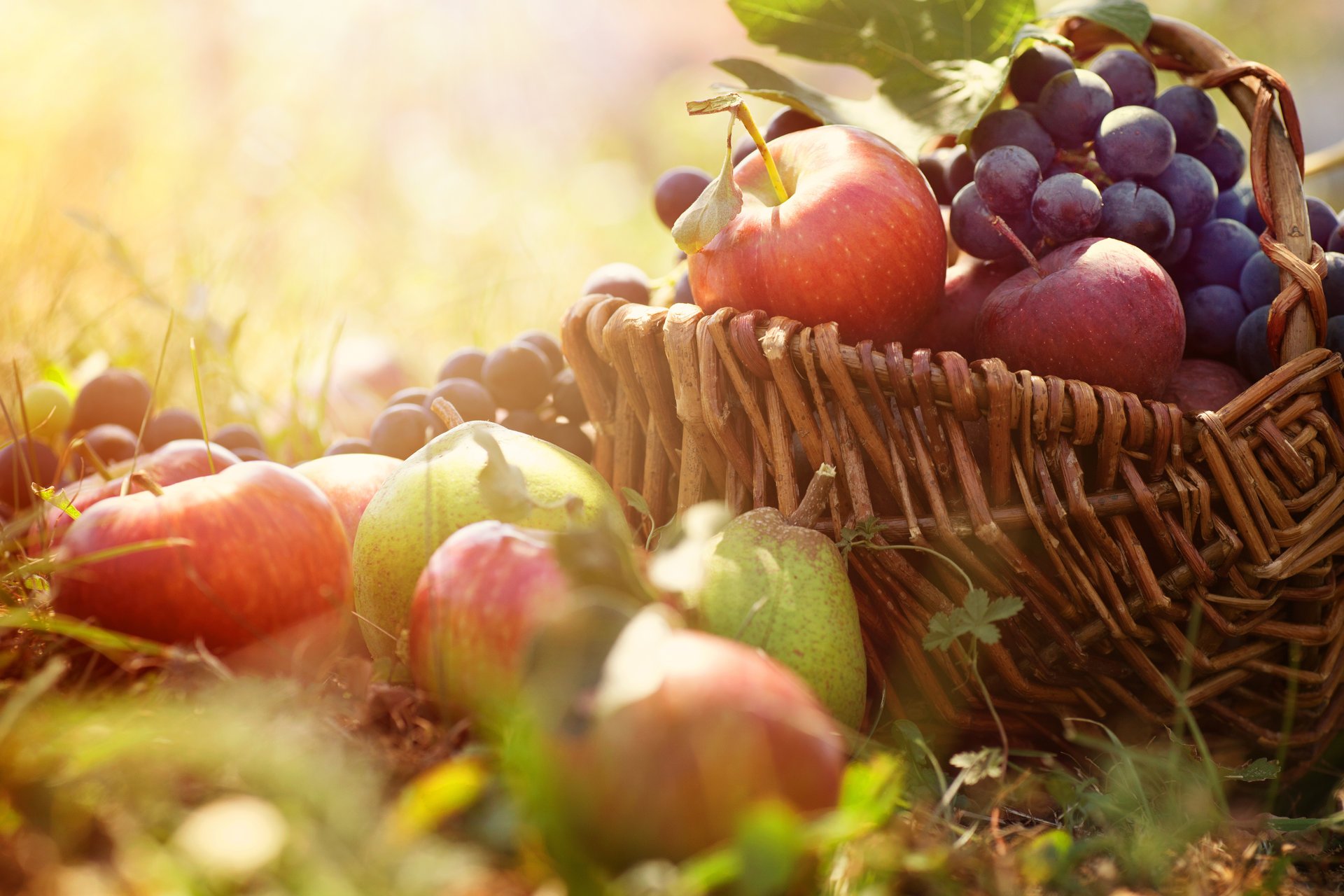 cesta uvas manzanas hierba