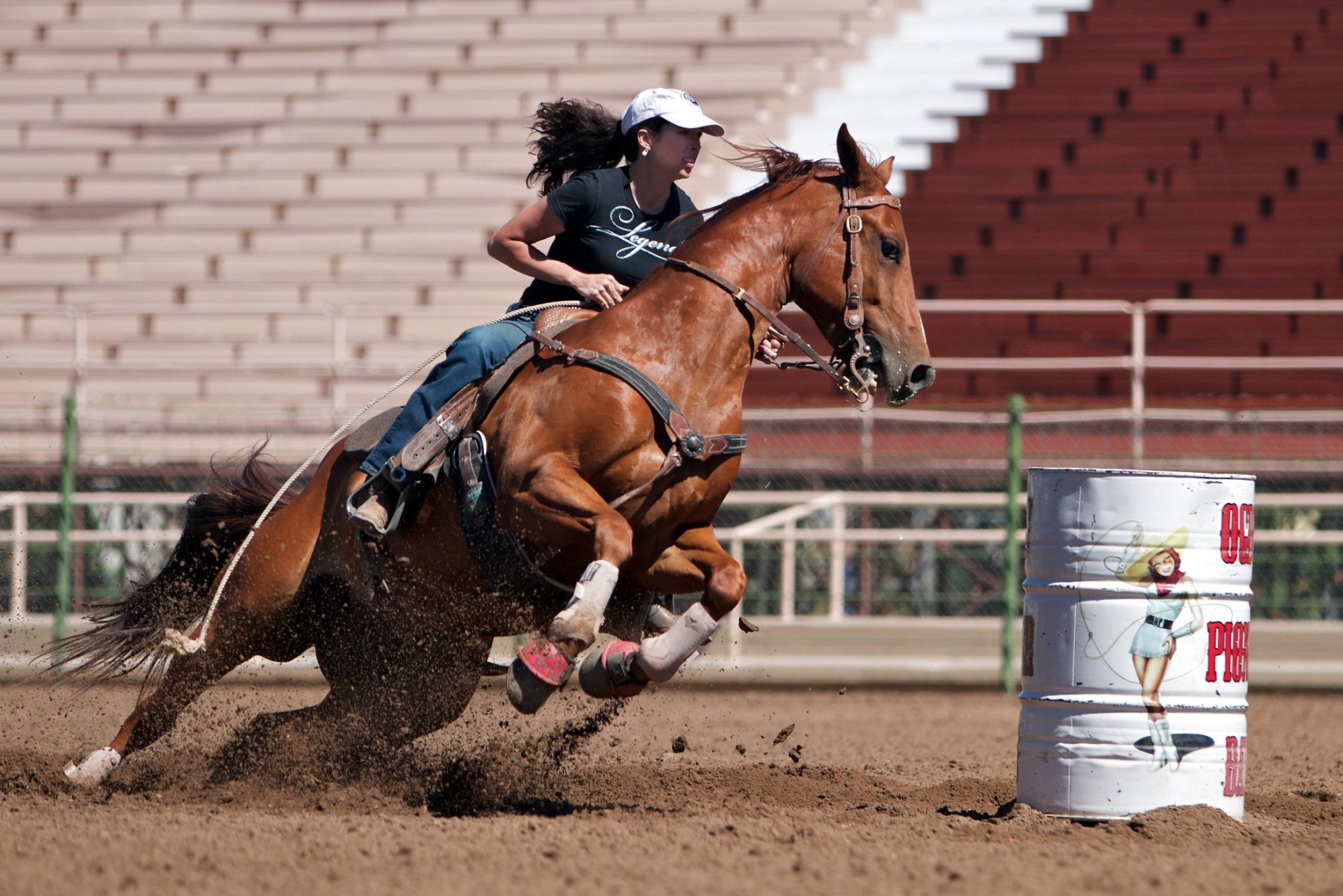 ragazza cavallo sport