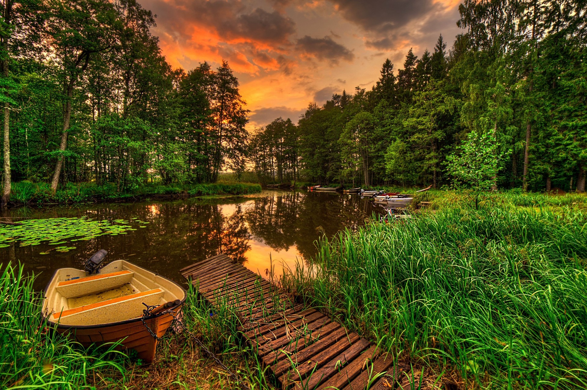 barcos paisaje bosque puesta de sol río