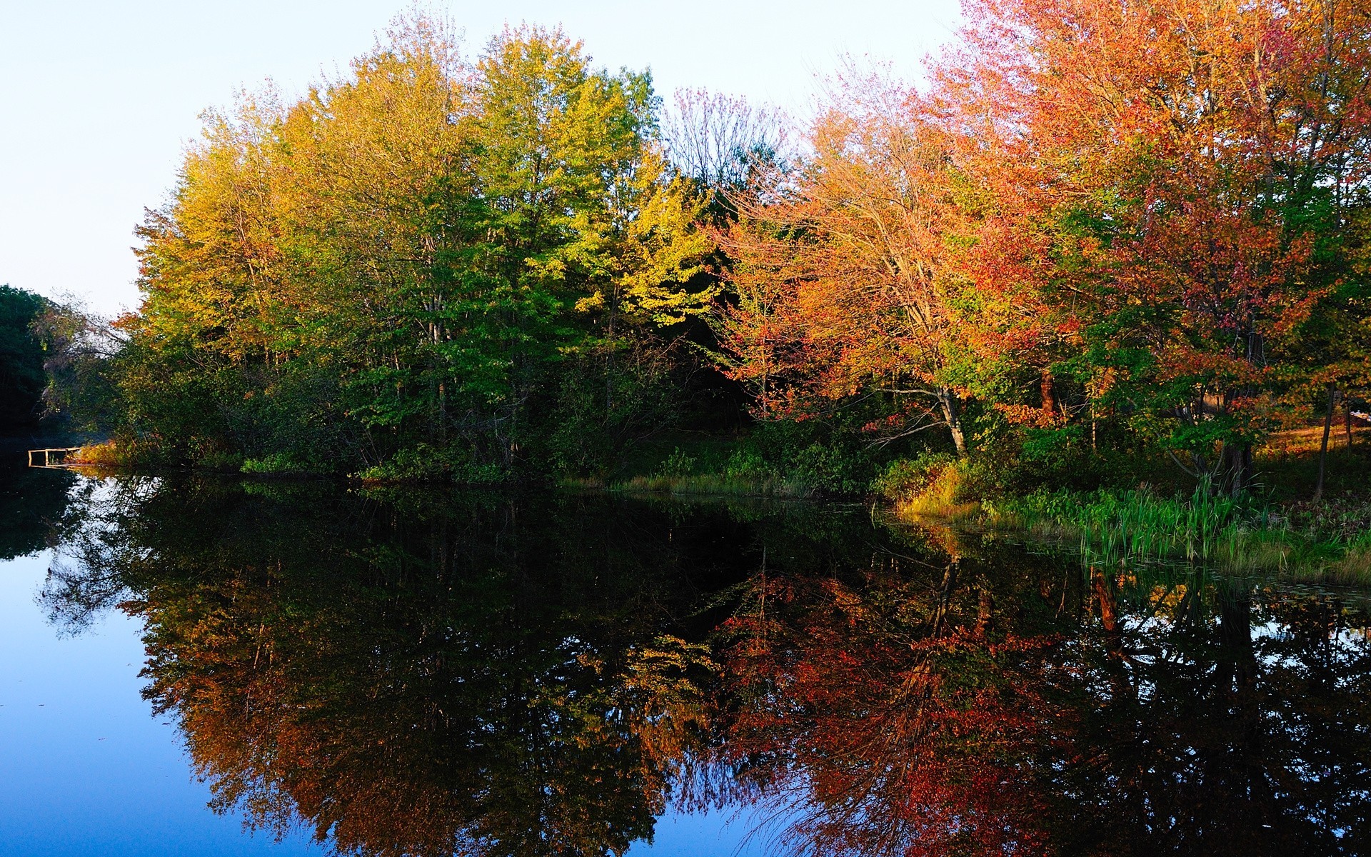 automne lac arbres nature