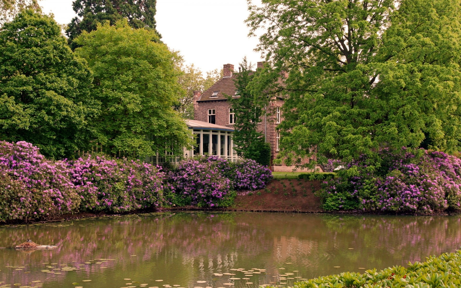 parque árboles flores estanque casa