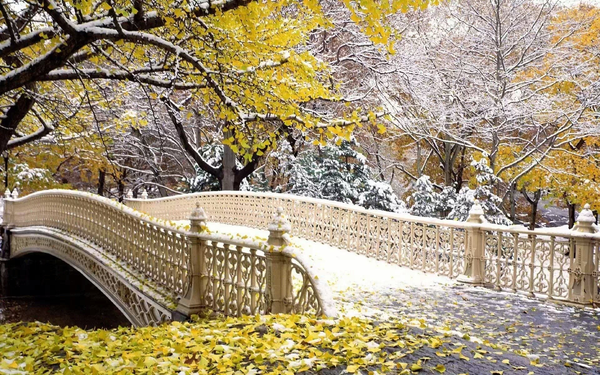 pont neige fin de l automne