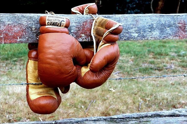 Boxing gloves on a wooden fence