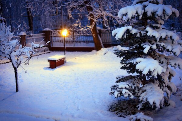 Lanterne solitaire par une soirée d hiver