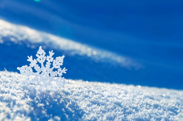 Un copo de nieve bajo macro tiro en invierno