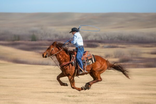 Wilder Westen und Cowboy mit Pferd