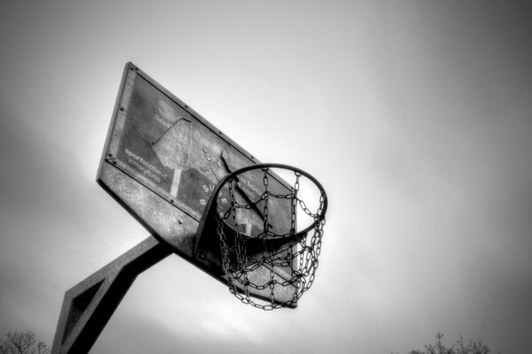 Gray picture of a basketball shield