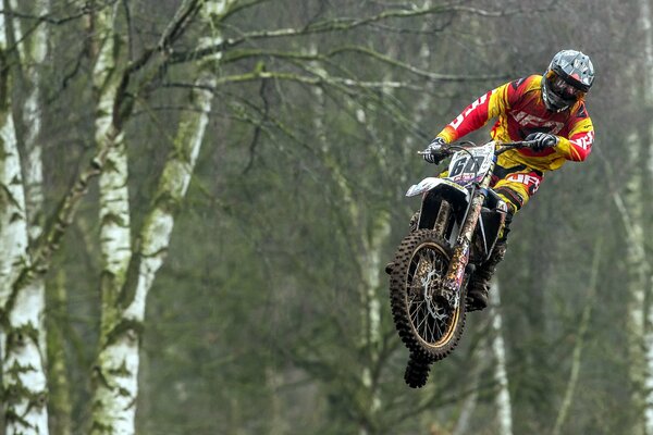 Motociclista en salto contra fondo de abedules