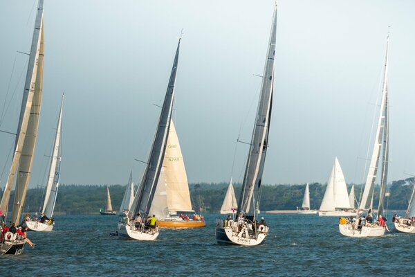 Sailing yacht race at sea