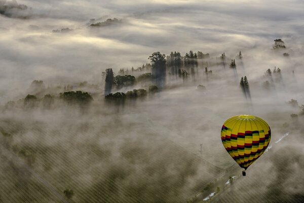 The balloon rose into the sky over the forest