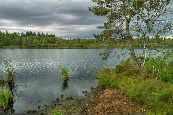 Paysage avec rivière et arbres