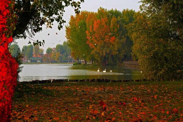 Lago in Italia nel silenzio autunnale