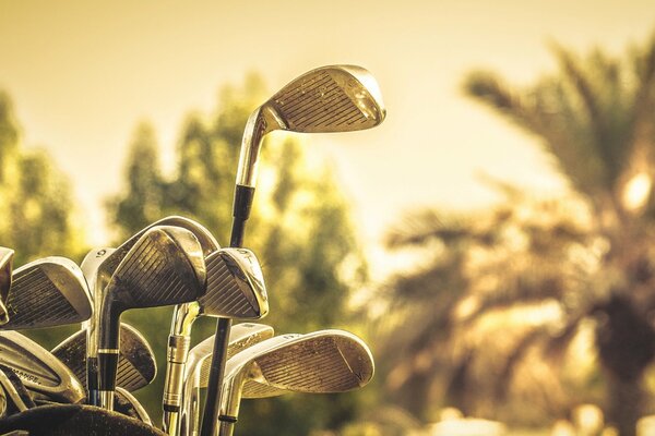 Palos de golf en un hermoso fondo