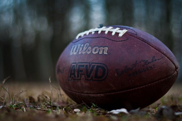 Macro shooting of a rugby ball